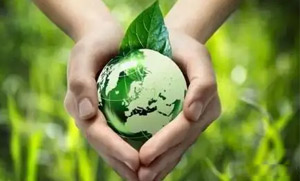 乐动在线零碳（近零碳）发展战略和实施方案